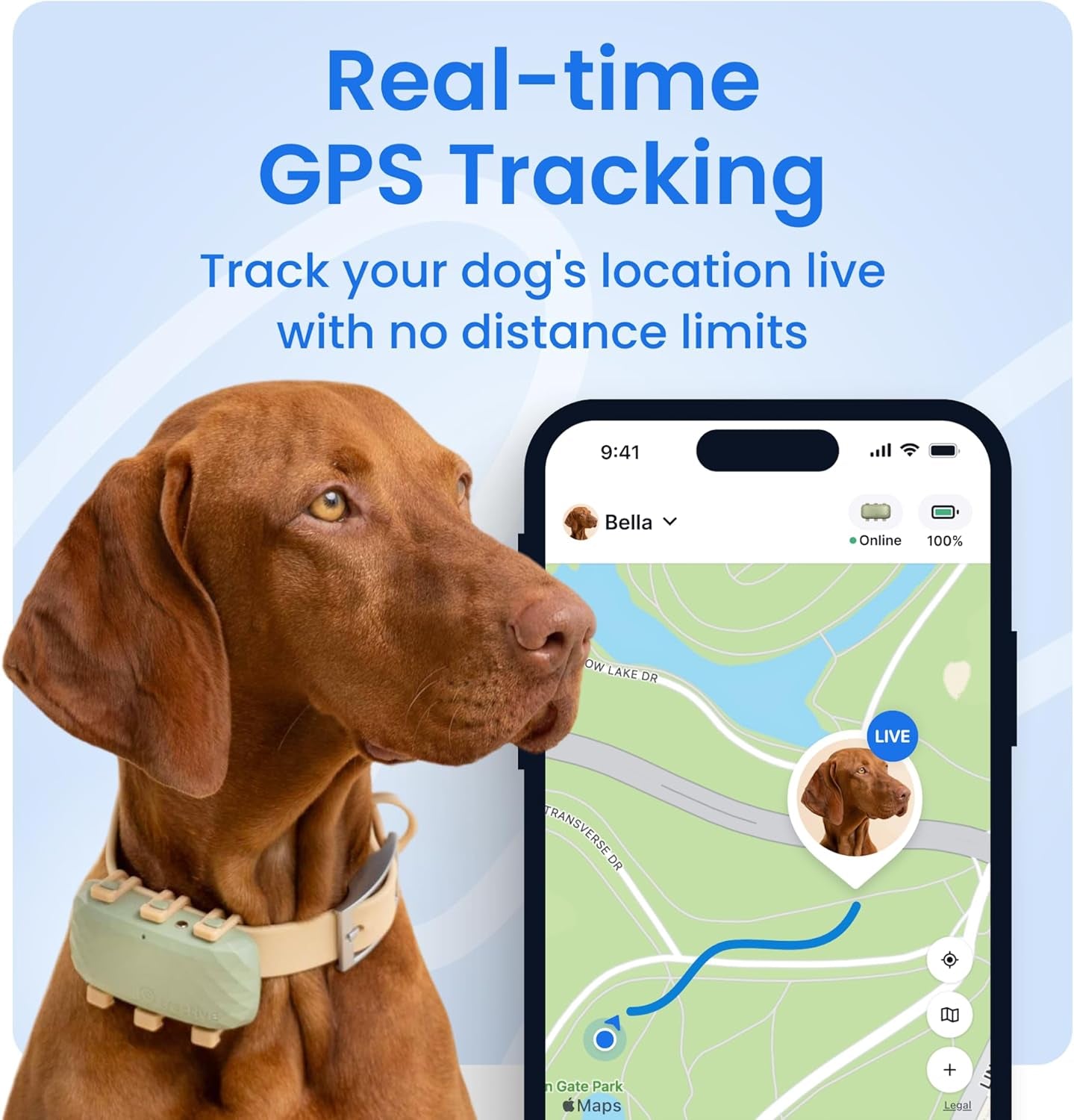 XL Smart Dog GPS Tracker | Live Pet Tracker with Virtual Fence | Vital Signs Monitoring of Heart & Respiratory Rate | up to 1-Month Battery Life | Dog Collar Attachment (Green)