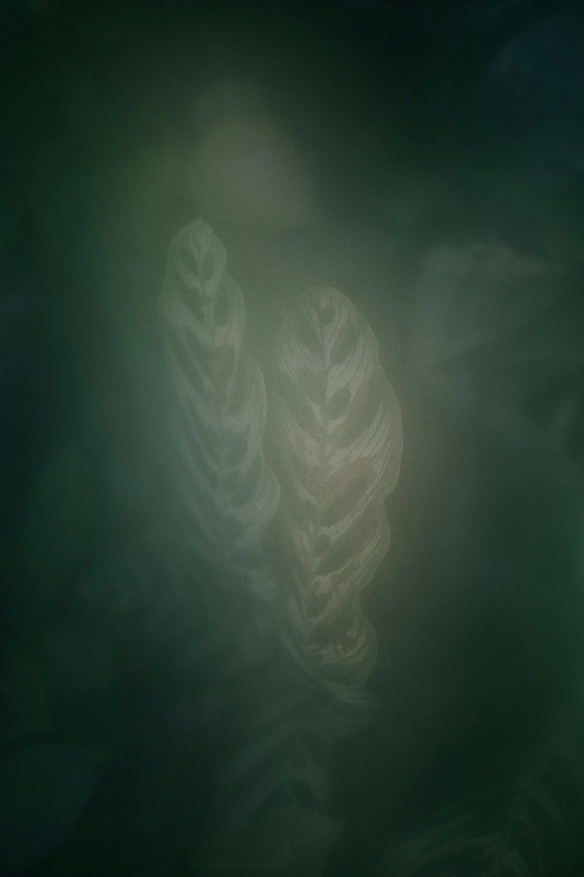 white and green floral textile