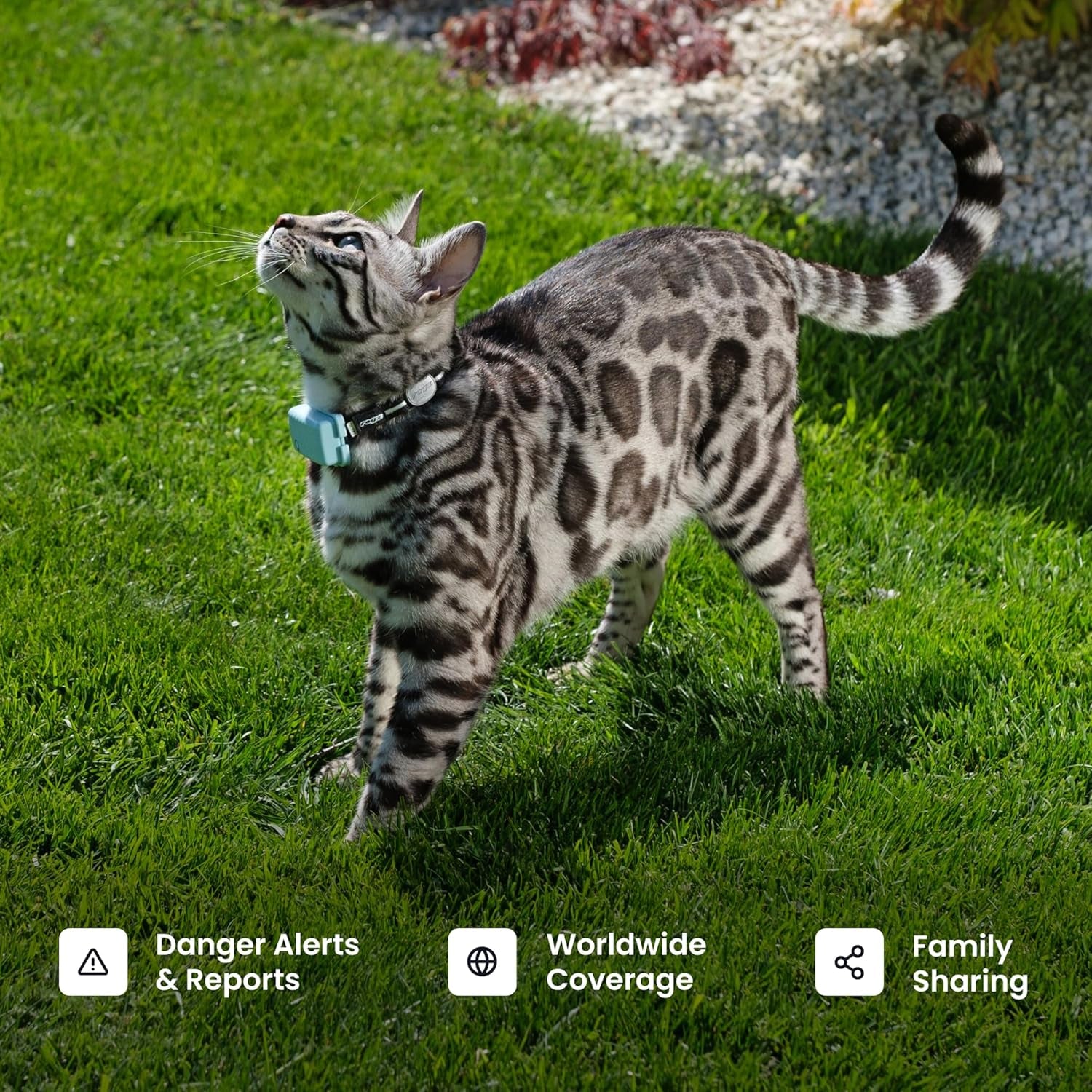 XL Smart Dog GPS Tracker | Live Pet Tracker with Virtual Fence | Vital Signs Monitoring of Heart & Respiratory Rate | up to 1-Month Battery Life | Dog Collar Attachment (Green)