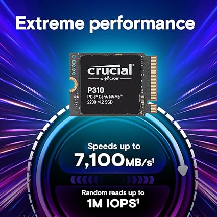 SSD Crucial P310