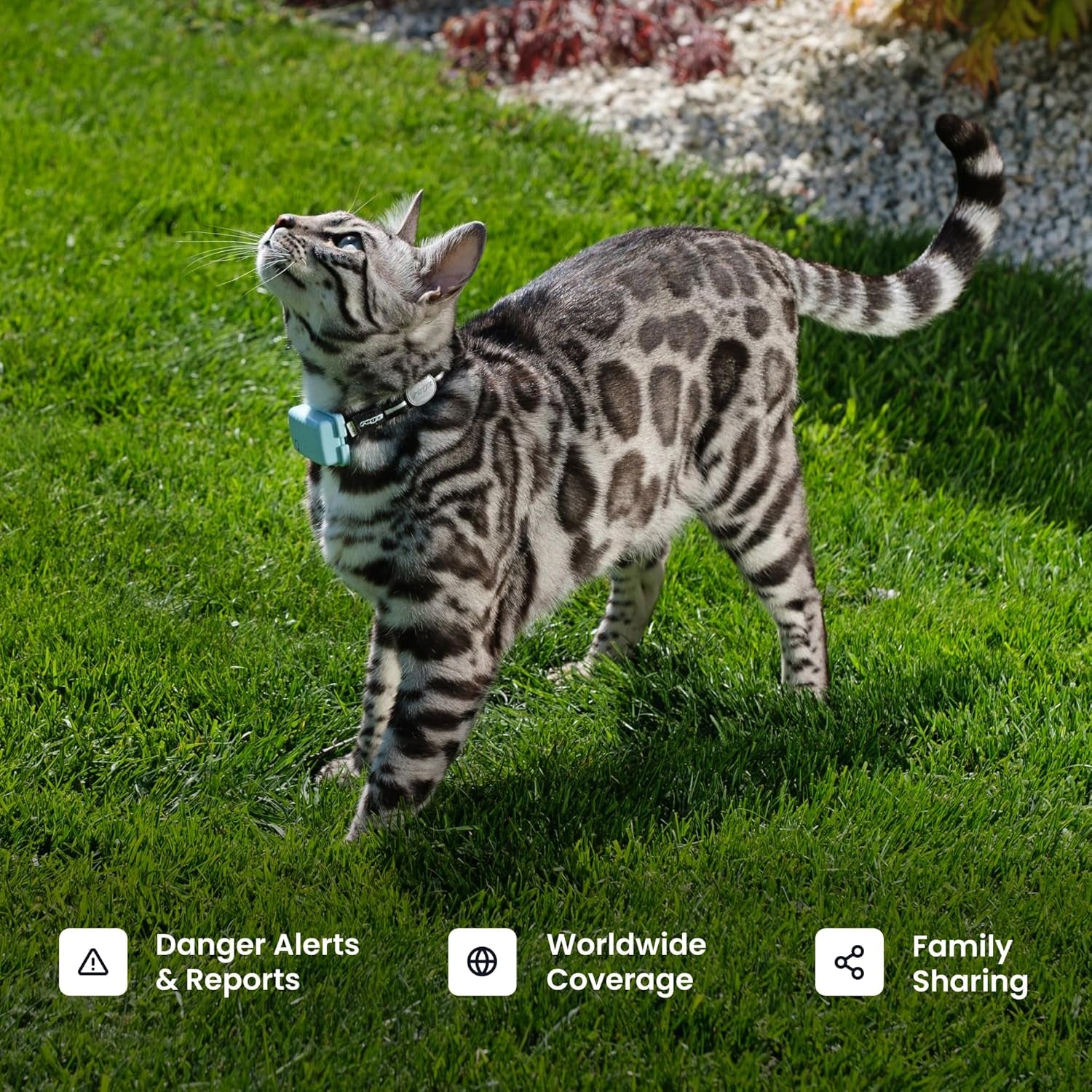 Smart Cat GPS Tracker | Real-Time Location & Wellness Monitoring for Cats 6.5 Lbs+ | Territory & Location History | up to 5-Day Battery | Breakaway Collar Included (Dark Blue)